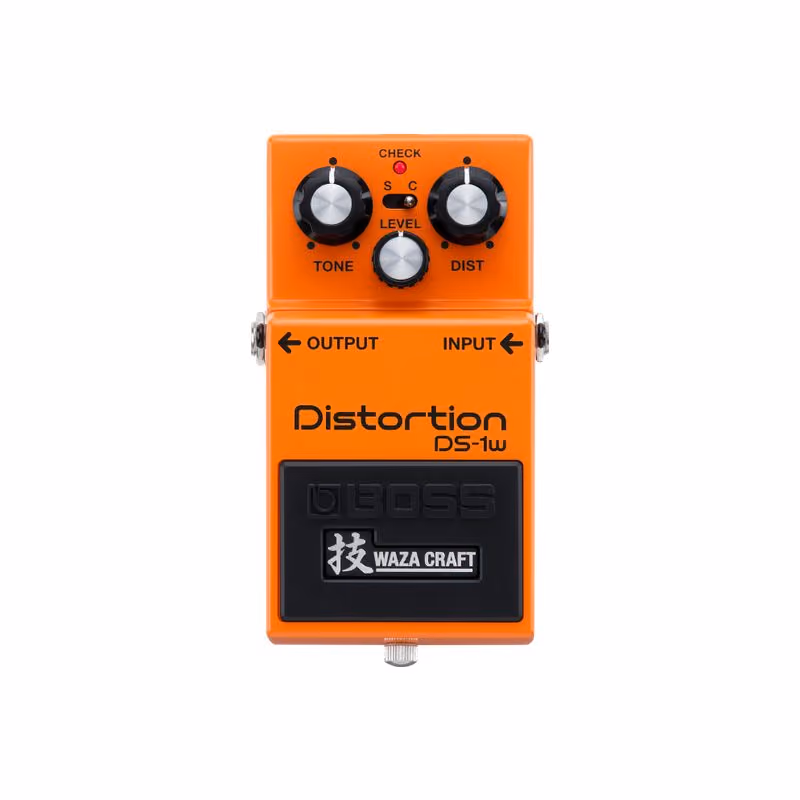DS-1W