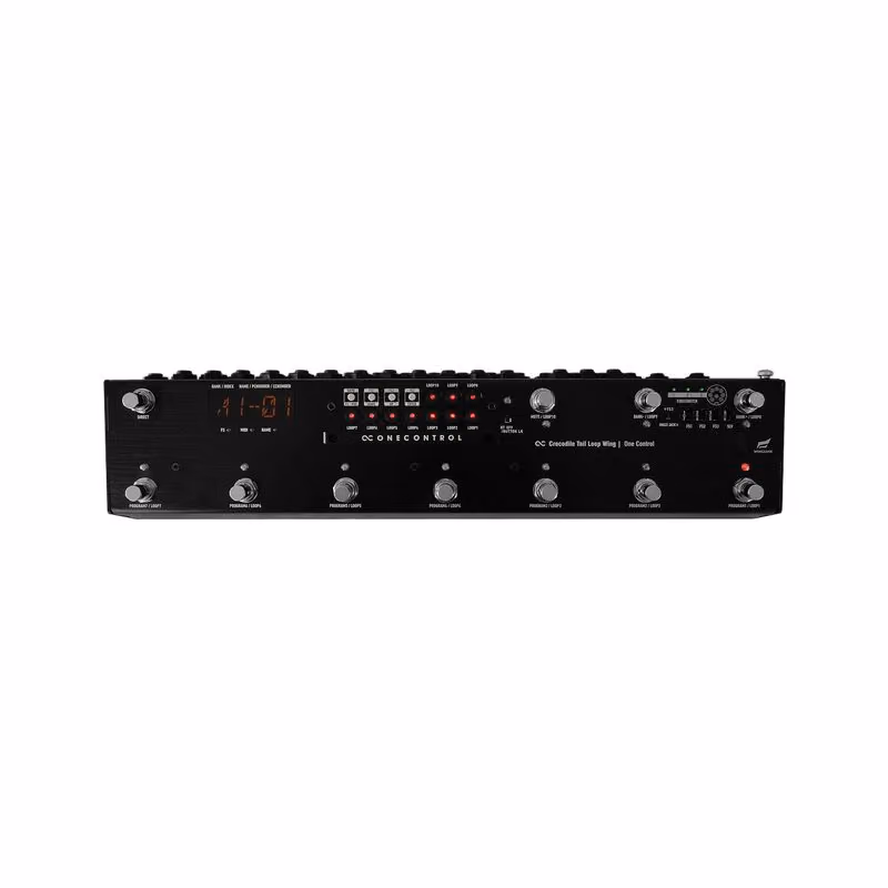 Crocodile Tail Loop Wing OC10W